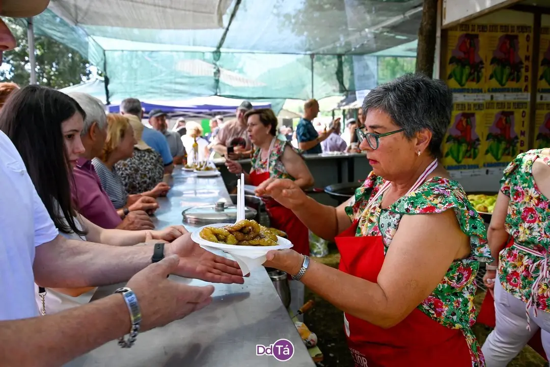 feira pemento oimbra-186