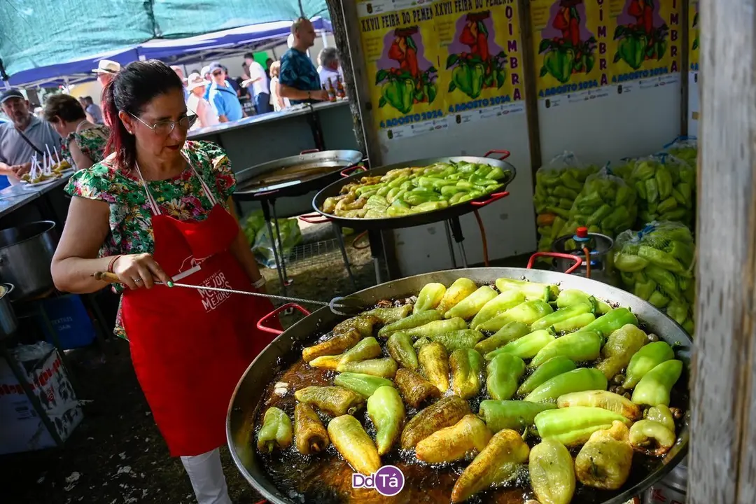 feira pemento oimbra-187