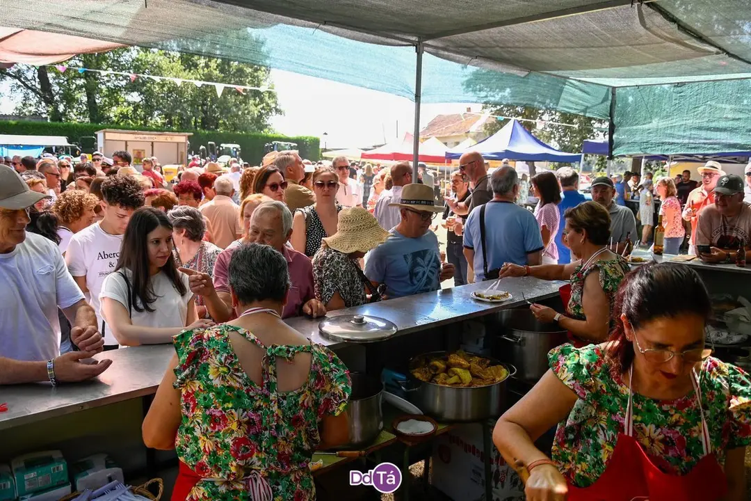 feira pemento oimbra-188