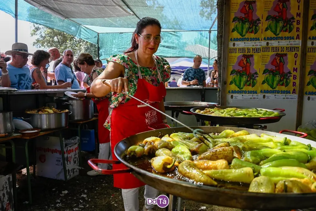 feira pemento oimbra-190