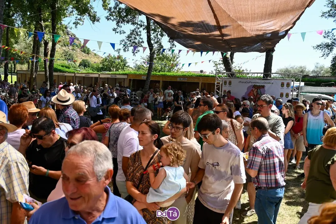 feira pemento oimbra-193