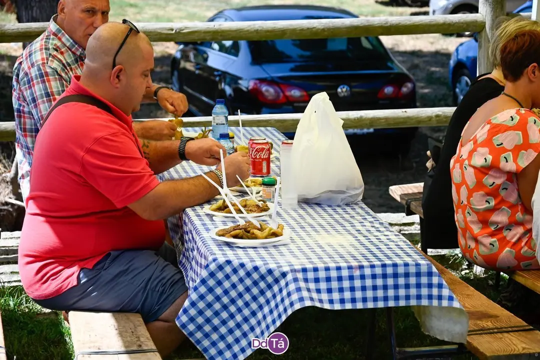 feira pemento oimbra-194