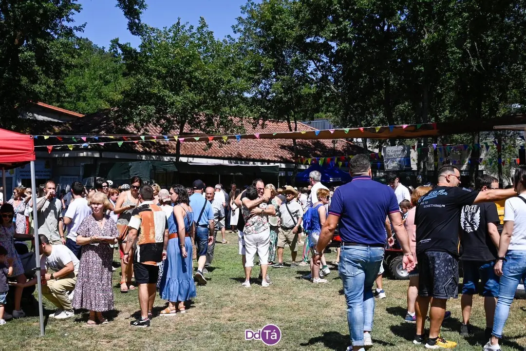 feira pemento oimbra-197