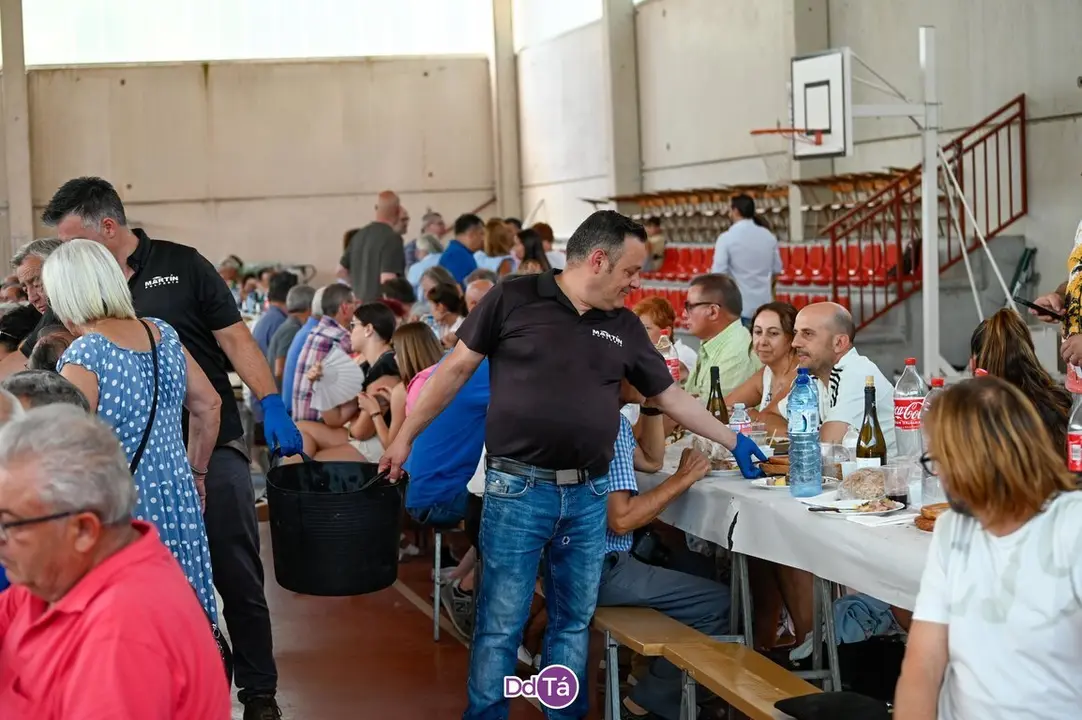 feira pemento oimbra-011