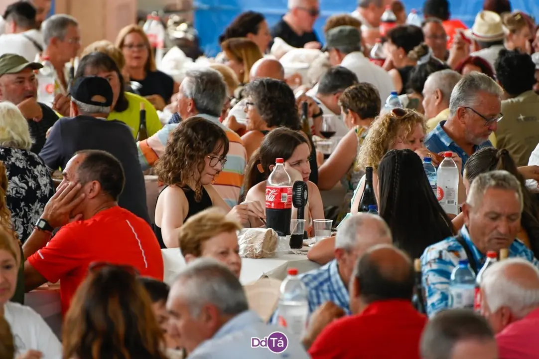 feira pemento oimbra-028