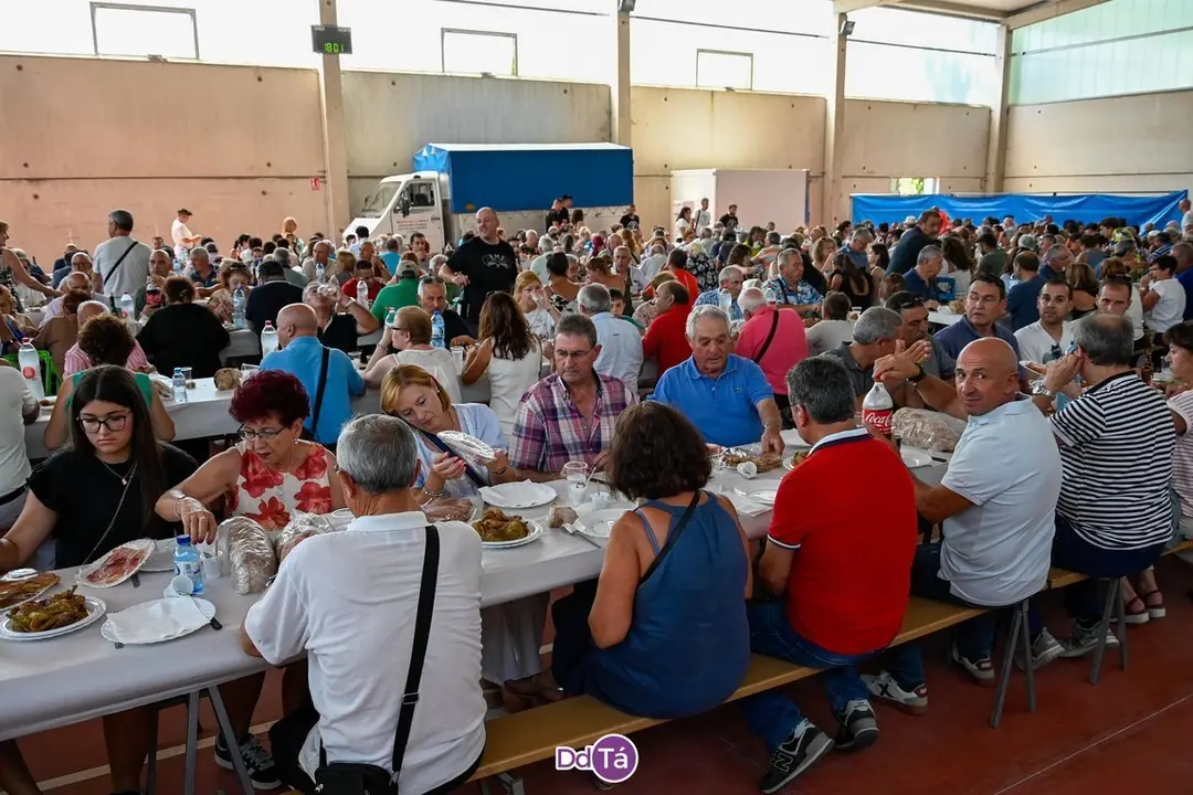 feira pemento oimbra-041
