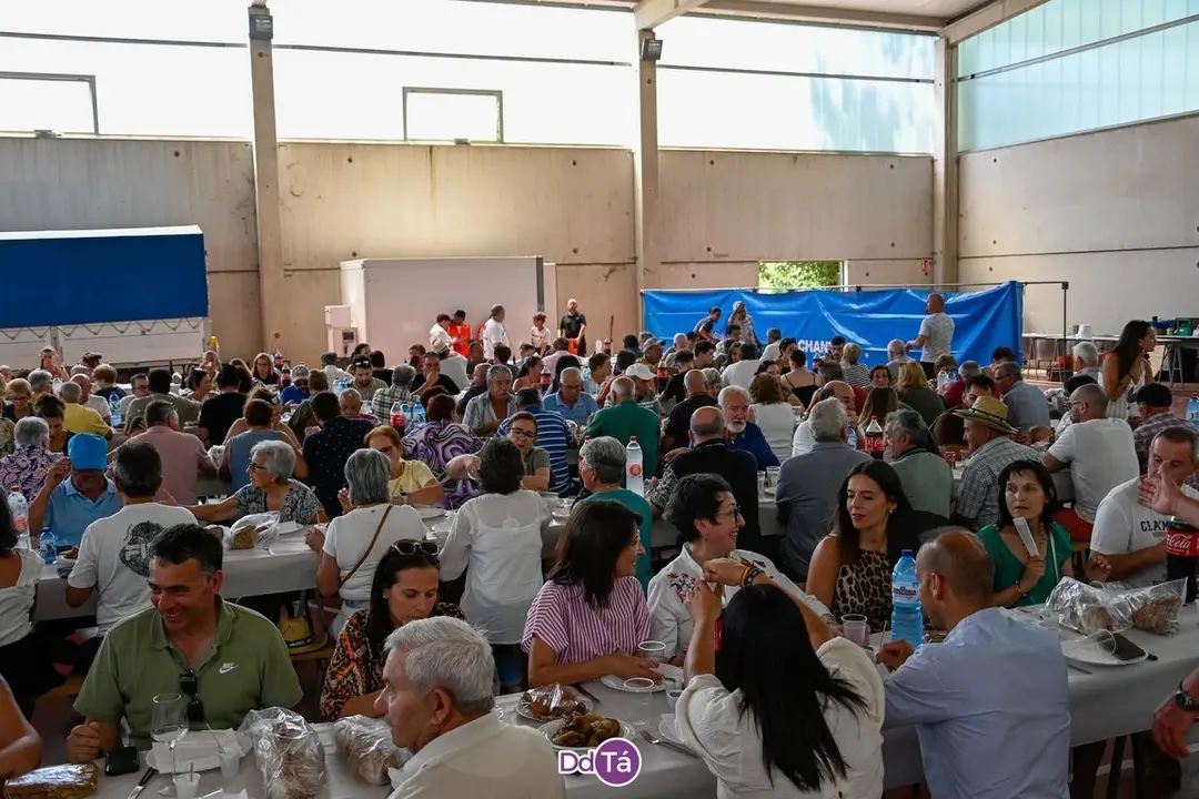 feira pemento oimbra-044
