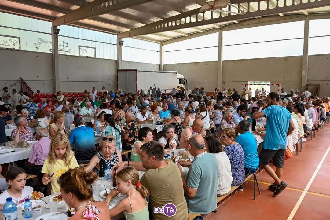 feira pemento oimbra-049