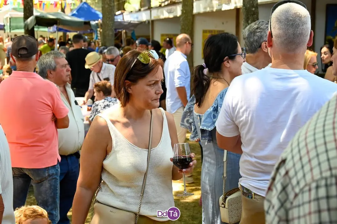 feira pemento oimbra-091
