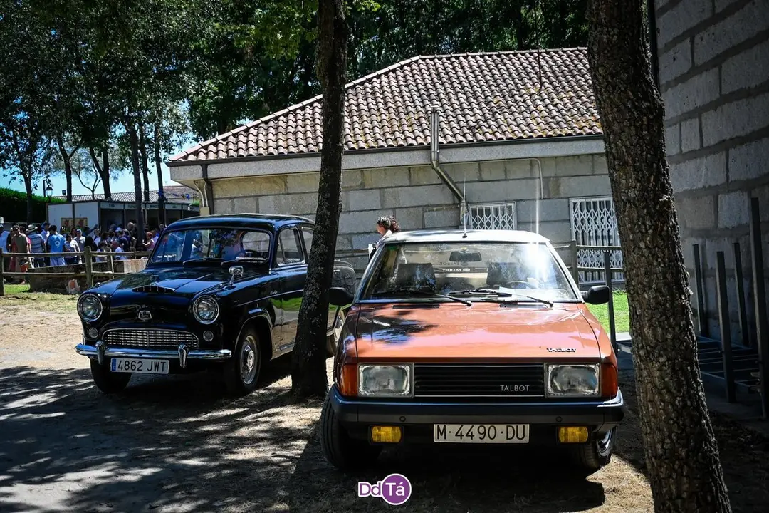 feira pemento oimbra-100