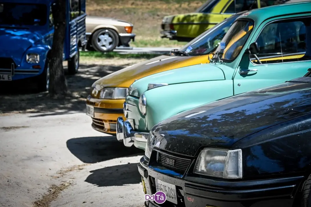 feira pemento oimbra-102