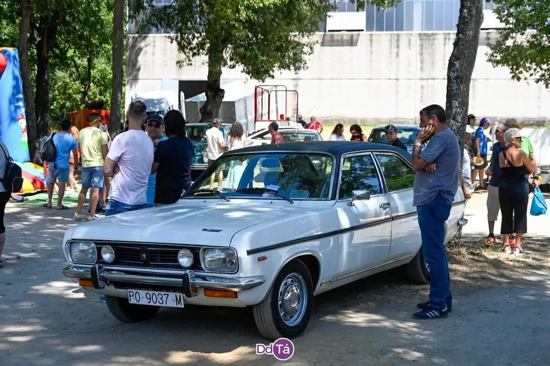 feira pemento oimbra-104