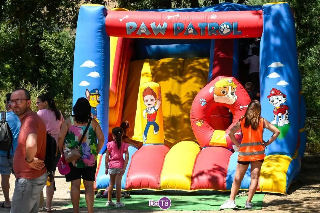 feira pemento oimbra-112