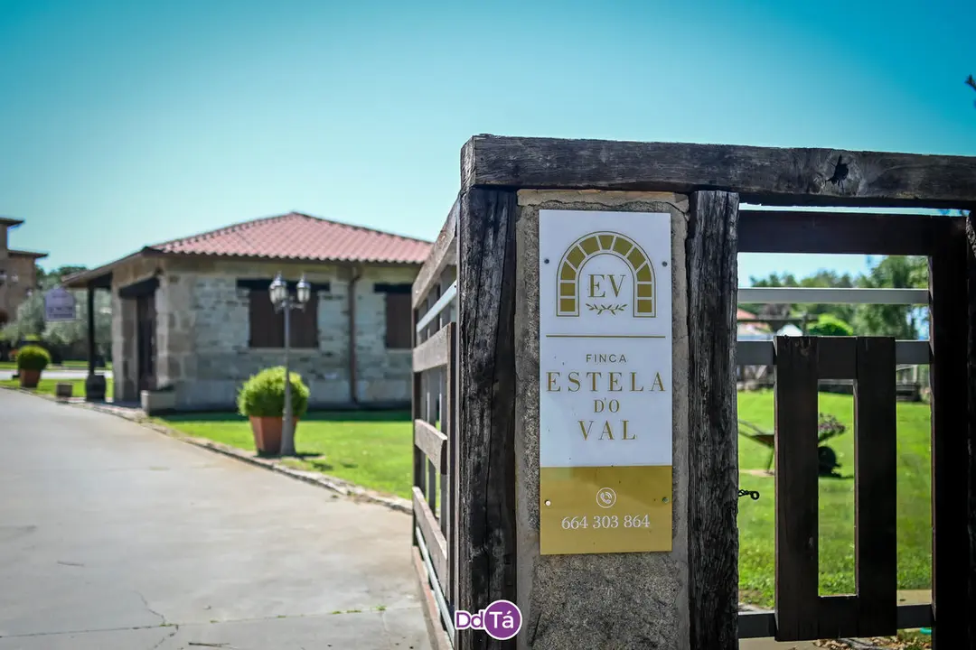 estela do val-50