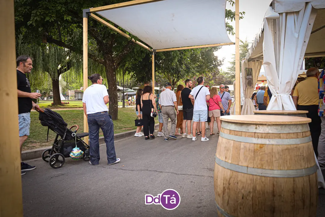 Feira do Vi&ntilde;o de Monterrei 2024 (13)