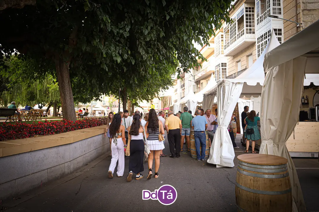 Feira do Vi&ntilde;o de Monterrei 2024 (53)