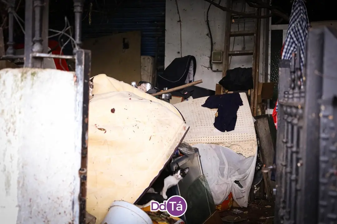 20240906 Retirada aves vivienda avenida cabreiro&aacute; 78_ a arca de rafa02