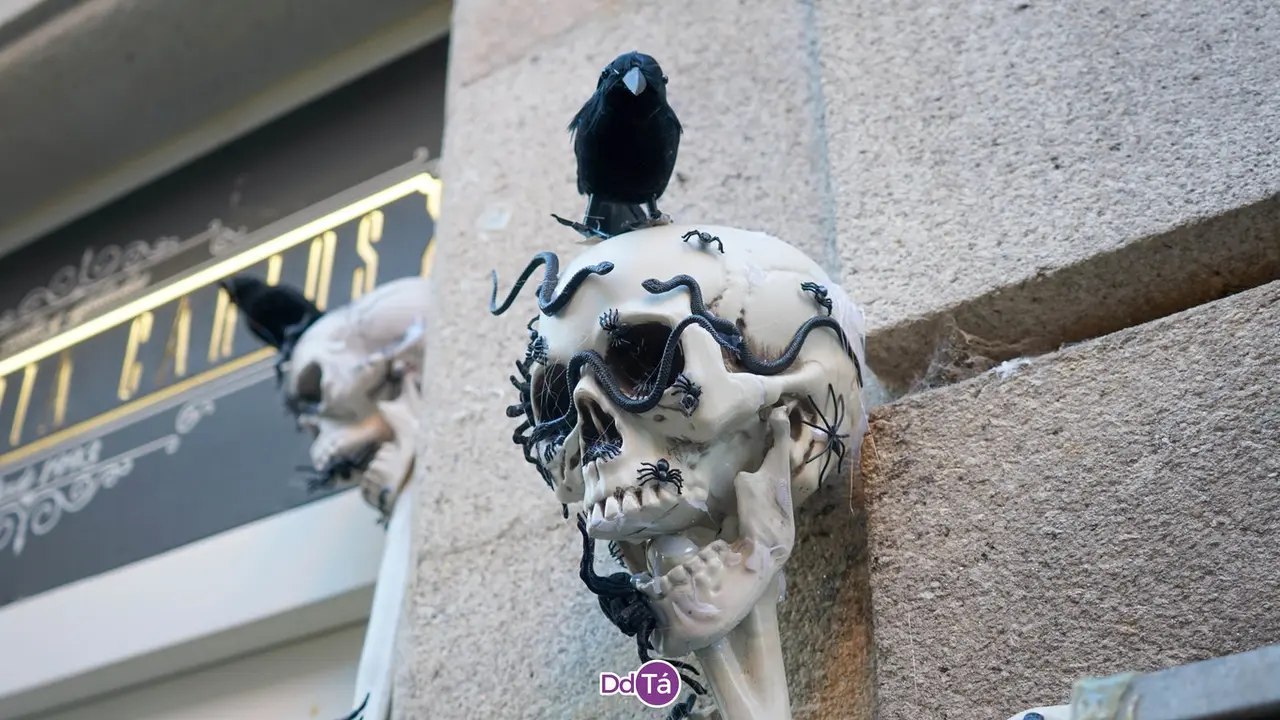 escaparates-22