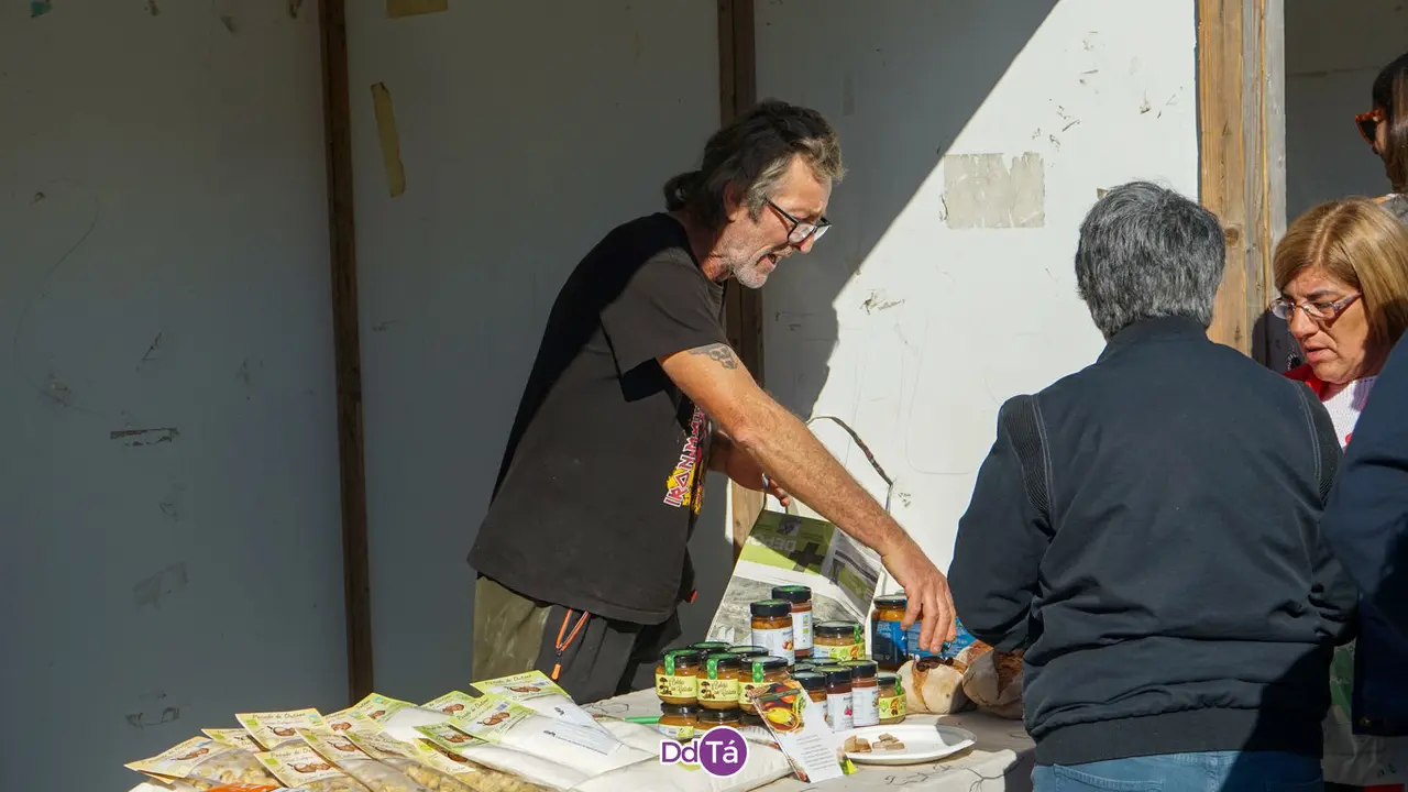 casta&ntilde;a rios-165