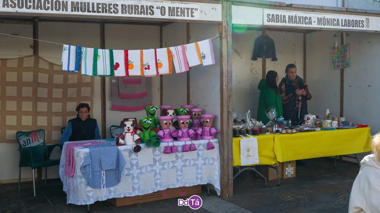 casta&ntilde;a rios-221