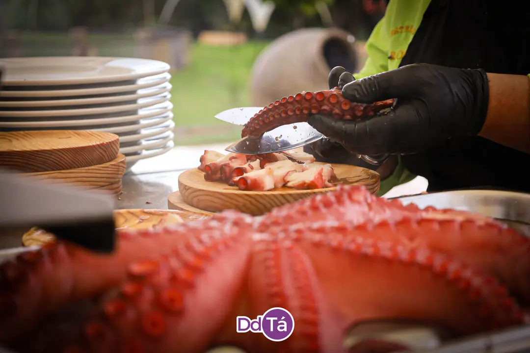 estela octubre 2024-002