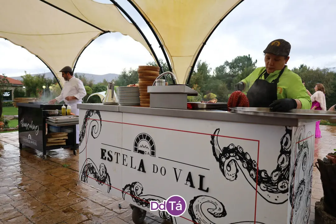 estela octubre 2024-011