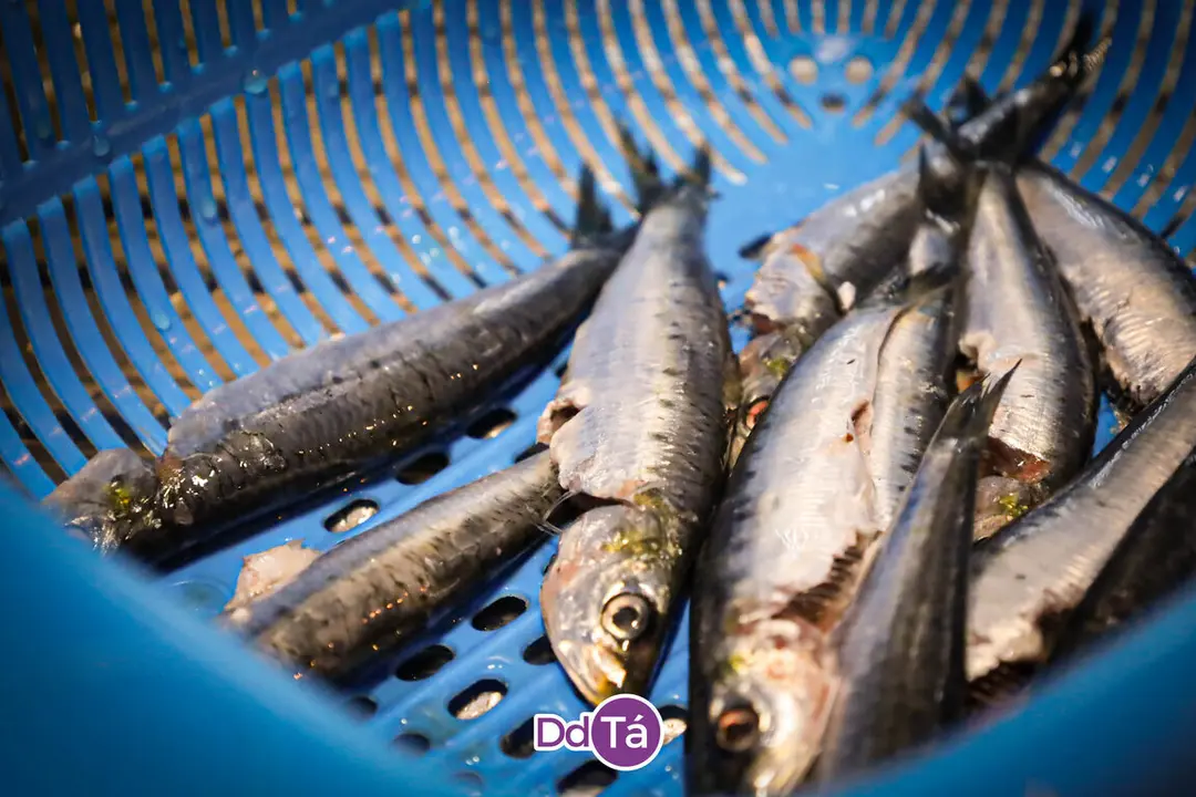 202412 A Peixer&iacute;a_Nadal-28