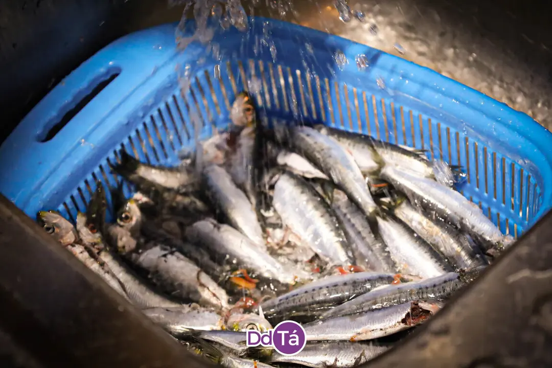 202412 A Peixer&iacute;a_Nadal-27