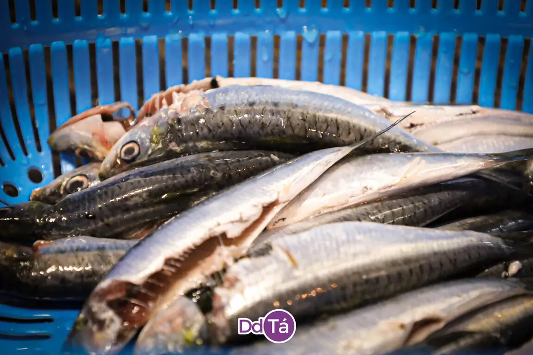202412 A Peixer&iacute;a_Nadal-26