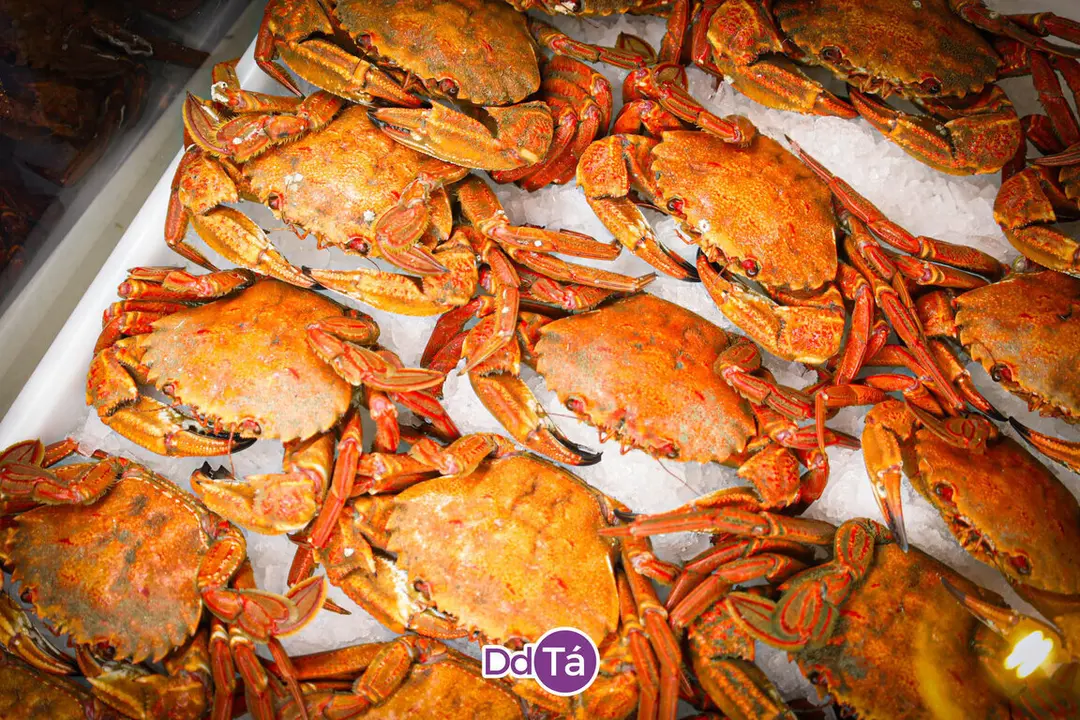202412 A Peixer&iacute;a_Nadal-03