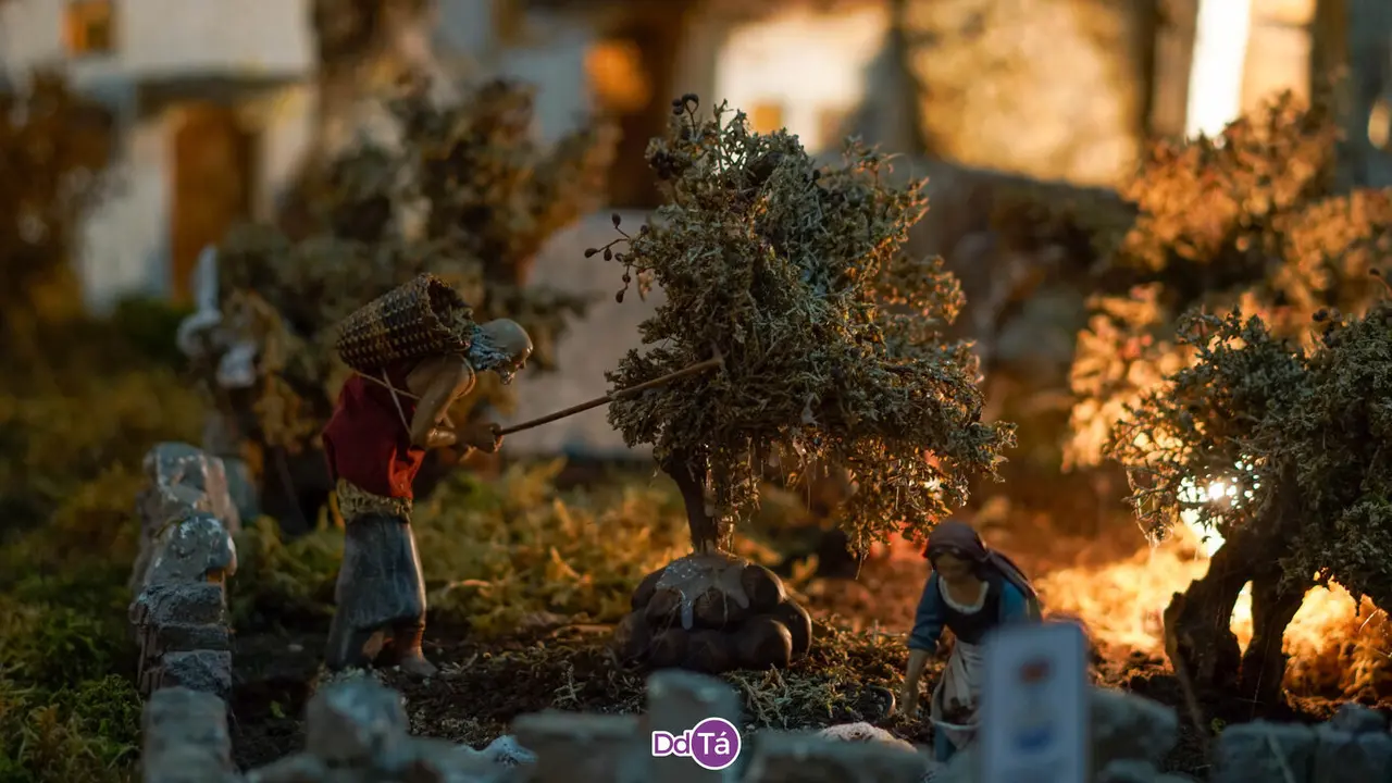 belen da viruca-23