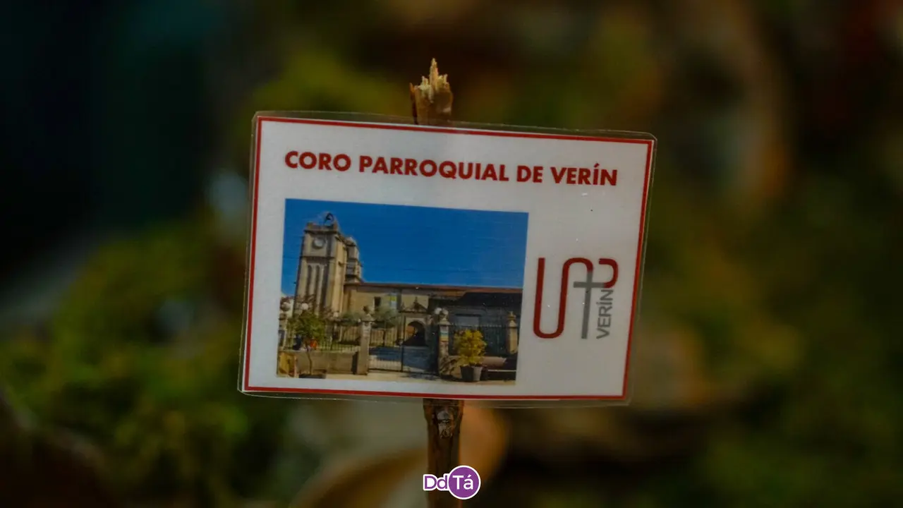belen da viruca-35