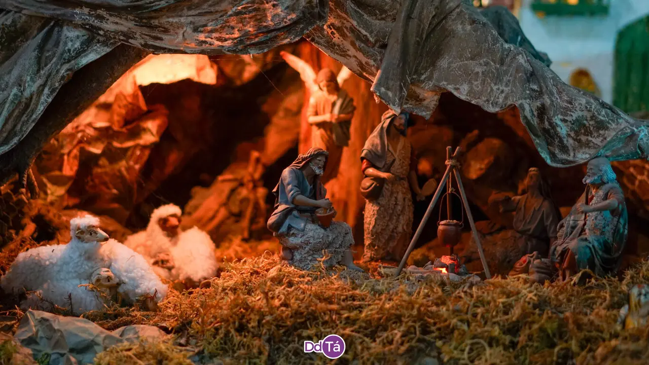 belen da viruca-51