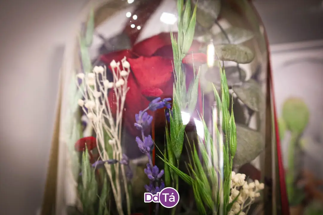 FLORISTERIA RAMOS NAVIDAD 2024-10