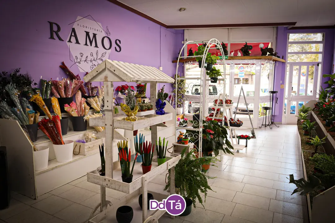 FLORISTERIA RAMOS NAVIDAD 2024-24