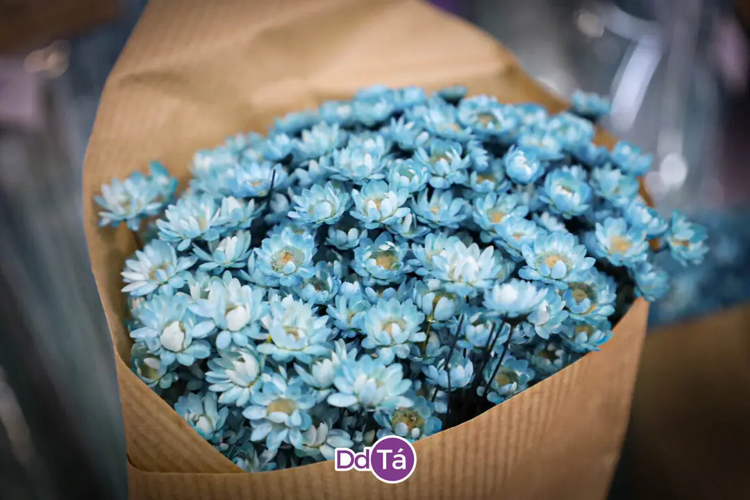 FLORISTERIA RAMOS NAVIDAD 2024-43
