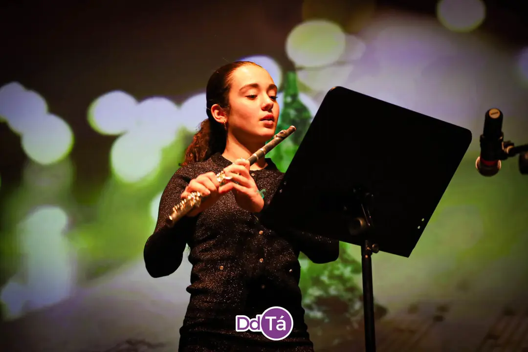 CONSERVATORIO VERIN GALA  NAVIDAD 2024-27