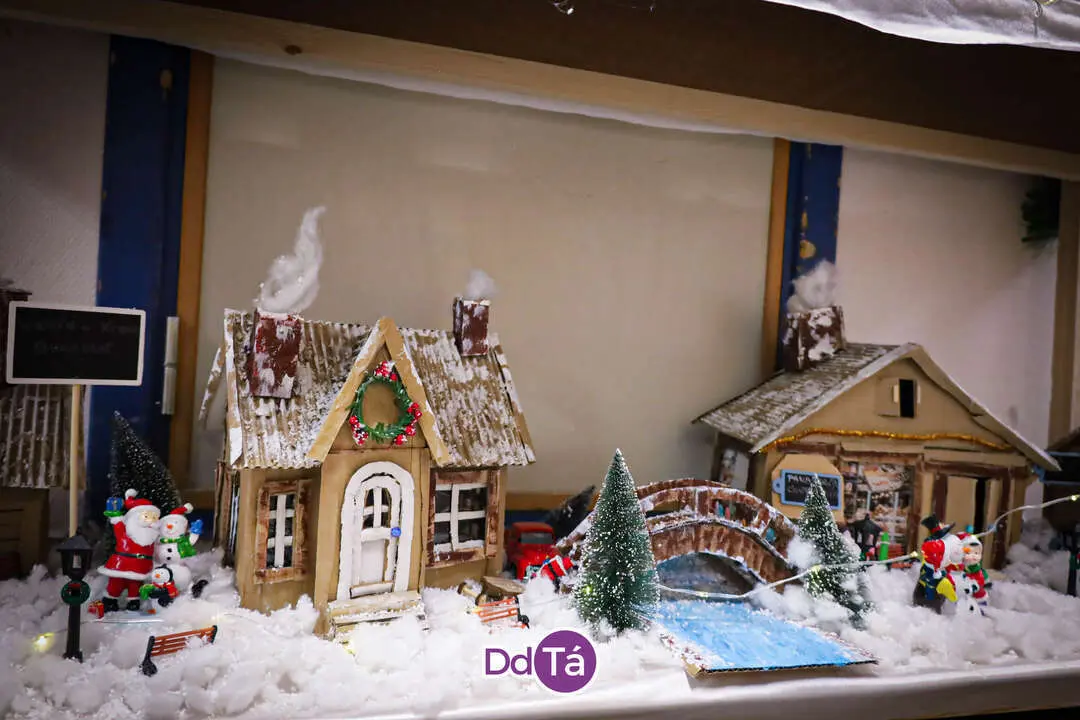 DECORACION HOSPITAL VERIN NAVIDAD 2024-66