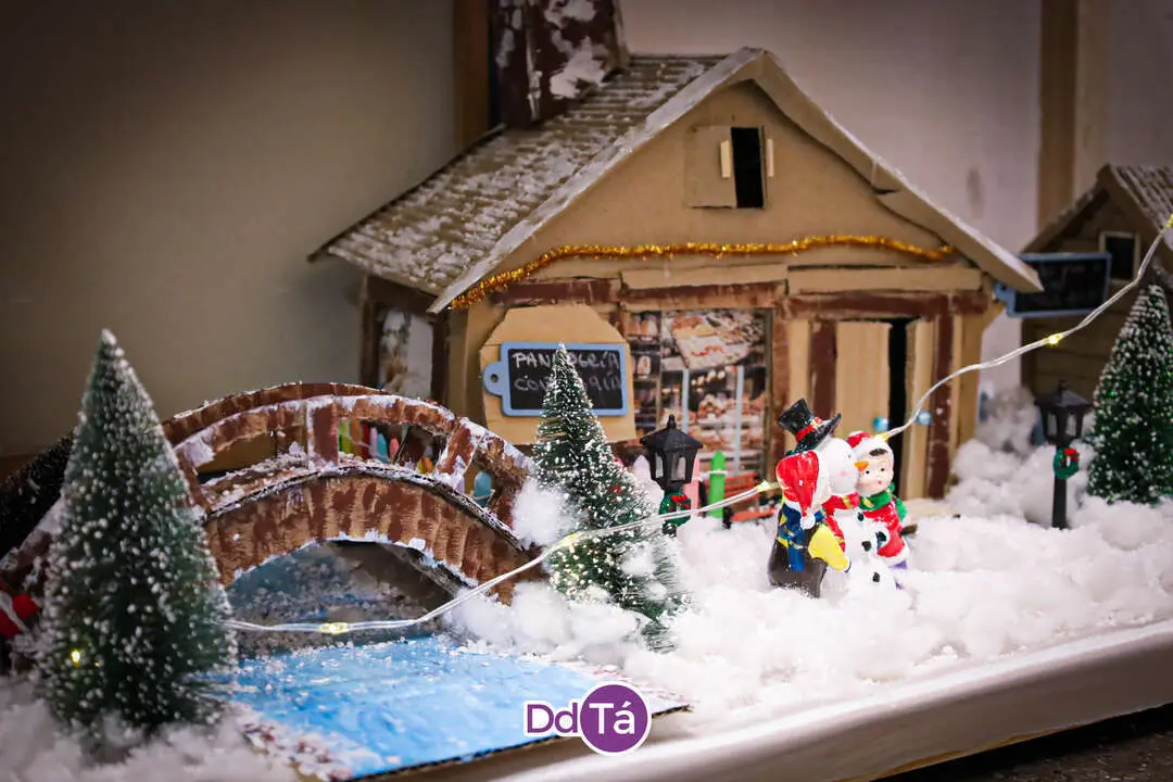 DECORACION HOSPITAL VERIN NAVIDAD 2024-65