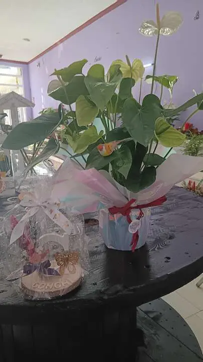 202501 Florister&iacute;a Ramos, fotos Teresa Ramos (6)