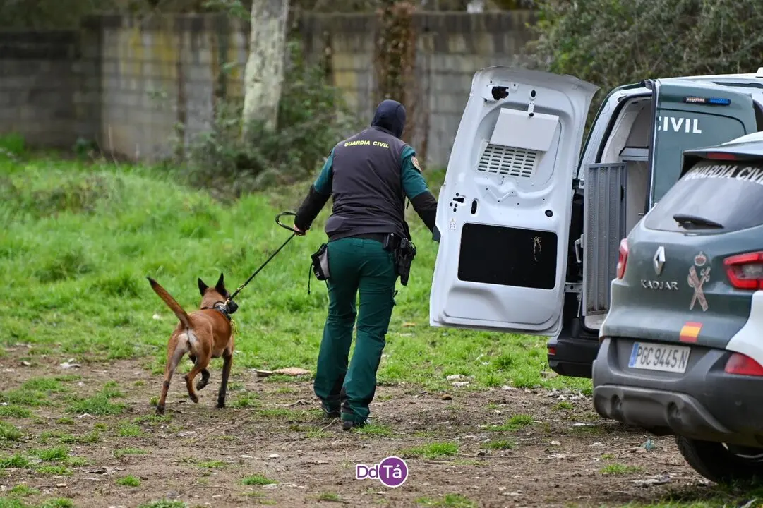 20250319 Operaci&oacute;n antidroga en Ver&iacute;n (10)