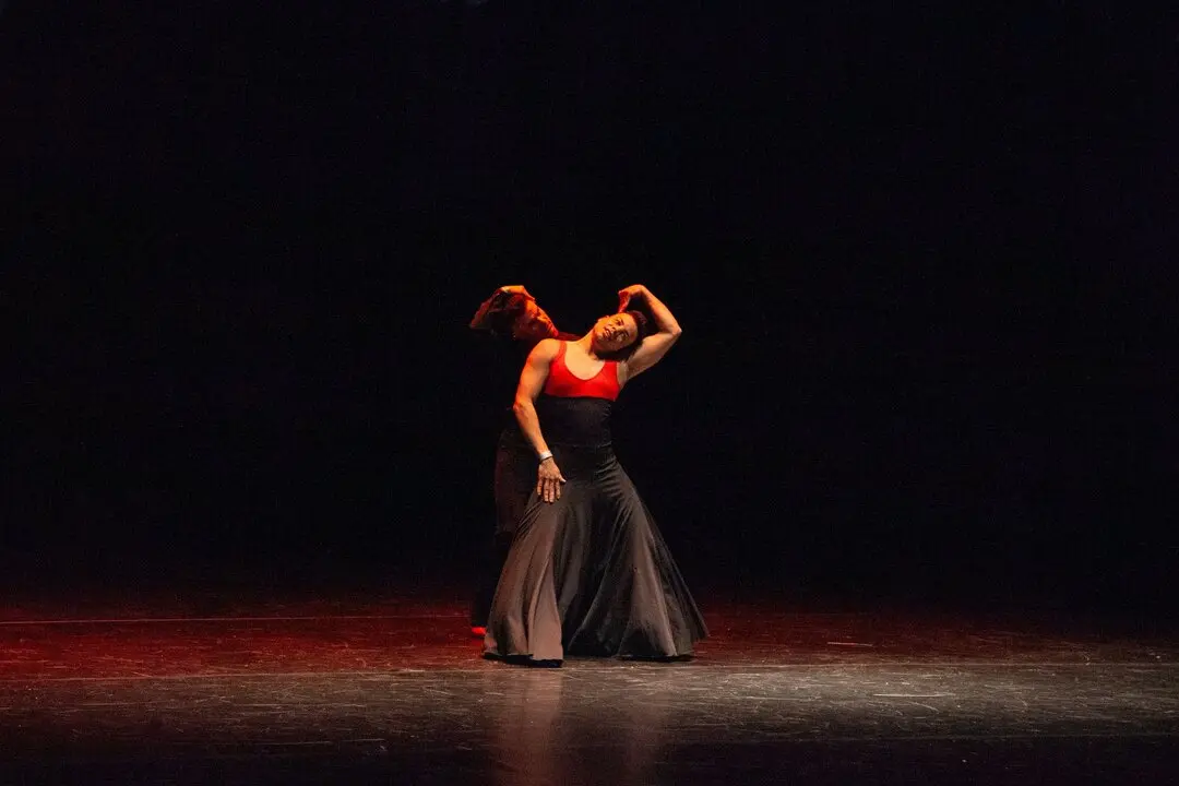 202504 Escuela de danza Diversity 03