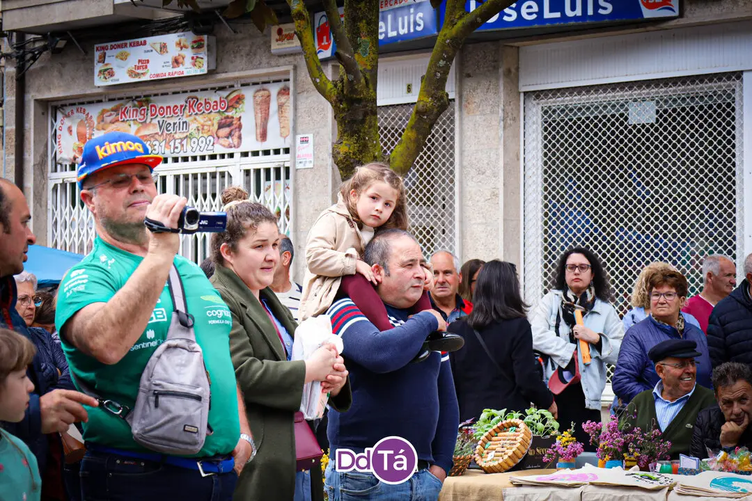 maios verin_2025-19