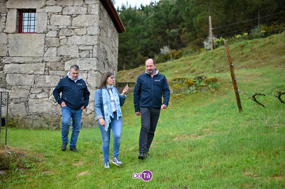 oimbra viñas-36