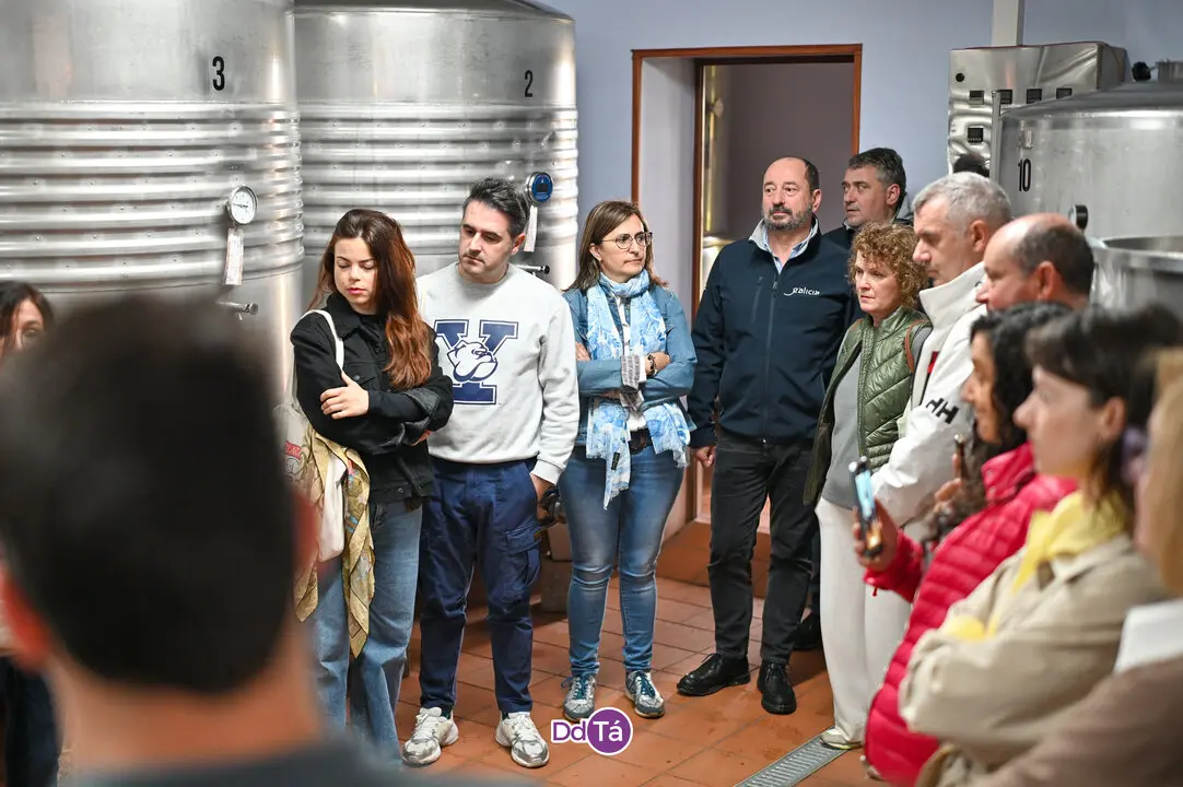 oimbra viñas-29