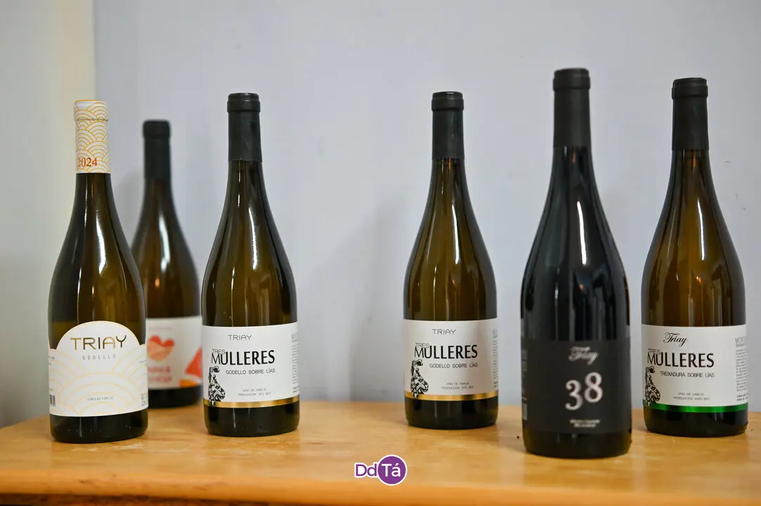 oimbra viñas-26