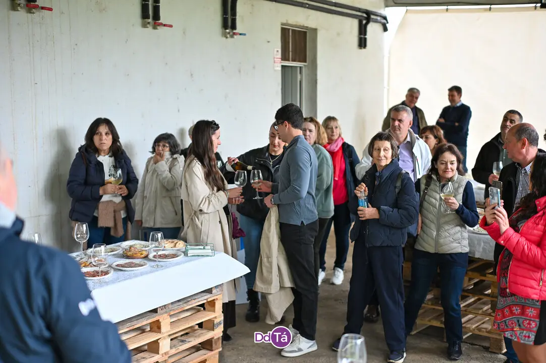 oimbra viñas-19