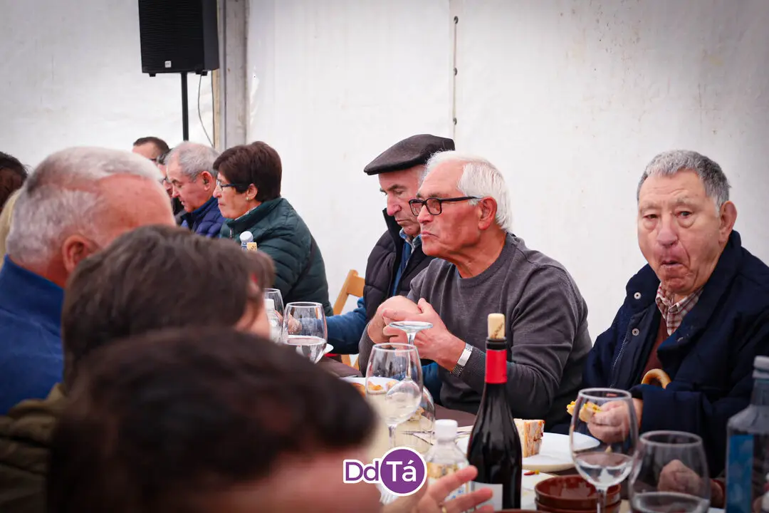 festa maior cualedro_2025-15