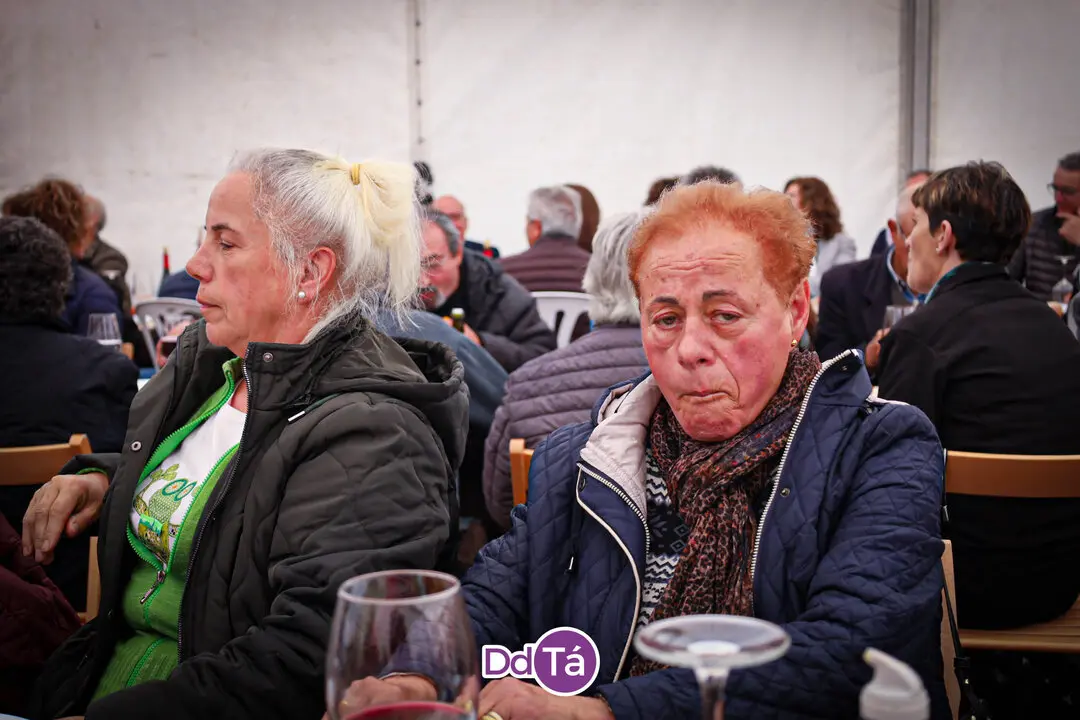 festa maior cualedro_2025-21