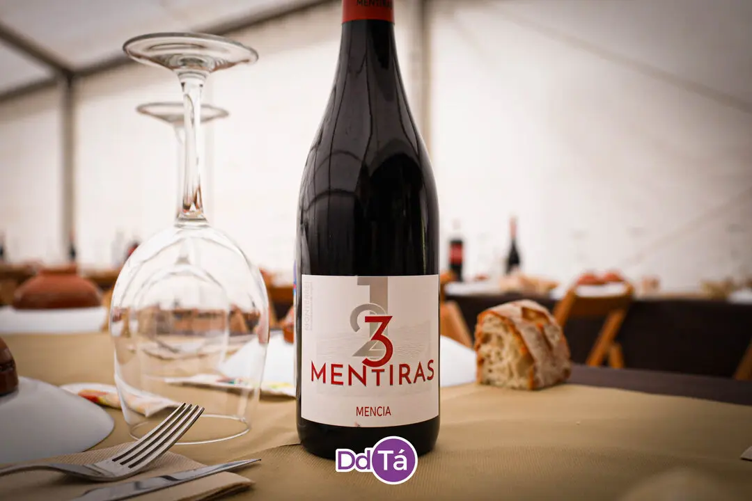 festa maior cualedro__2025-15